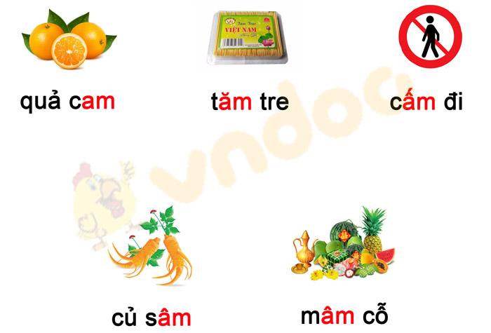 Phiếu bài tập cuối tuần Tiếng Việt lớp 1 Nâng cao - Tuần 7 - Phiếu 2