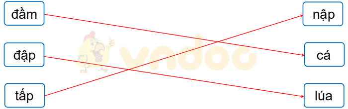 Giải Vở bài tập Tiếng Việt lớp 1 trang 29, 30 Bài 40: âm, âp