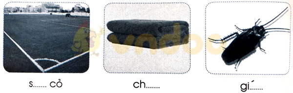 Giải Vở bài tập Tiếng Việt lớp 1 trang 30 Bài 31: an ăn ân