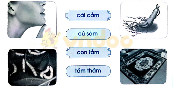 Giải Vở bài tập Tiếng Việt lớp 1 trang 33 Bài 34: am ăm âm