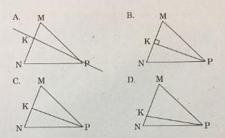Trắc nghiệm Toán lớp 4