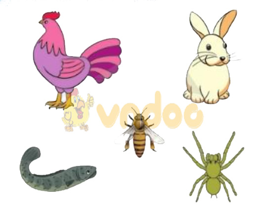 Giải Toán lớp 1 trang 20, 21 sách Cánh Diều