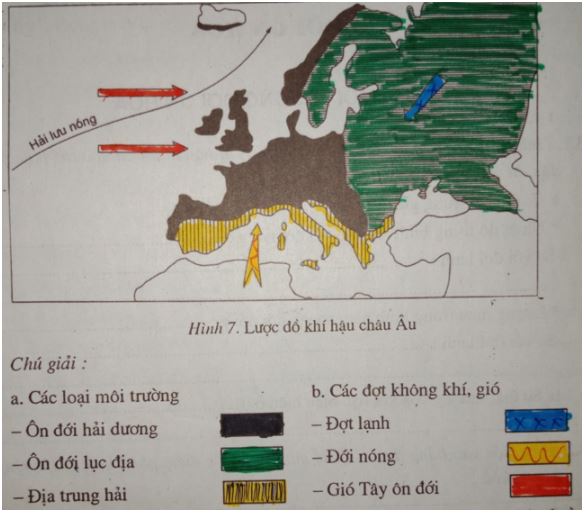 Giải vbt Địa 7 bài 13