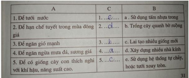 Giải vbt Địa 7 bài 14