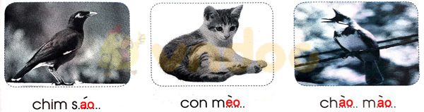 Giải Vở bài tập Tiếng Việt lớp 1 trang 39 Bài 42: ao eo