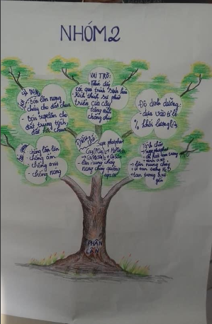 Sơ đồ tư duy phân bón hóa học 11 