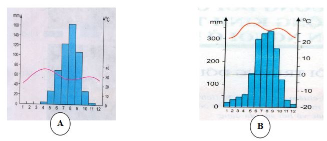 Đề thi giữa kì 1 Địa lí 7 có đáp án