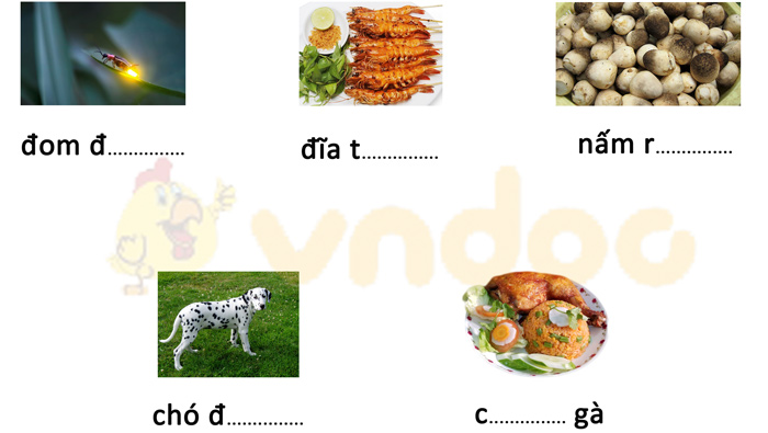 Phiếu bài tập cuối tuần Tiếng Việt lớp 1 Nâng cao - Tuần 8 - Phiếu 1