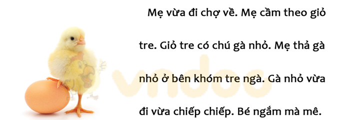 Đề thi giữa kì 1 lớp 1 môn Tiếng Việt năm 2020 sách Cánh Diều - Đề 3