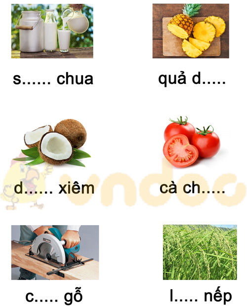 Đề thi giữa kì 1 lớp 1 môn Tiếng Việt năm 2020 sách Cánh Diều - Đề 4