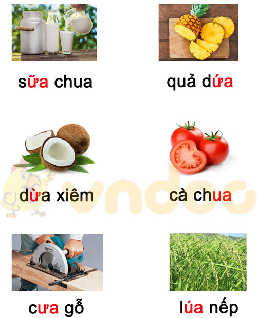 Đề thi giữa kì 1 lớp 1 môn Tiếng Việt năm 2020 sách Cánh Diều - Đề 4