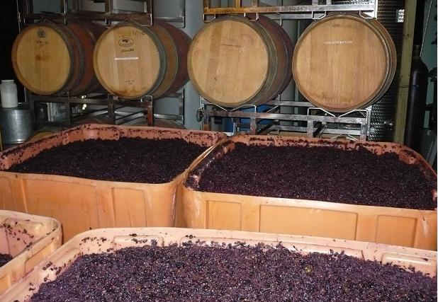 Phản ứng hóa học xảy ra hàng ngày mà có thể bạn không biết