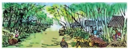 Tập đọc Đất Cà Mau