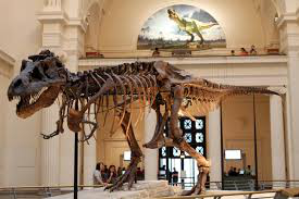 Trắc nghiệm từ vựng Unit 4 lớp 6: My Neighbourhood