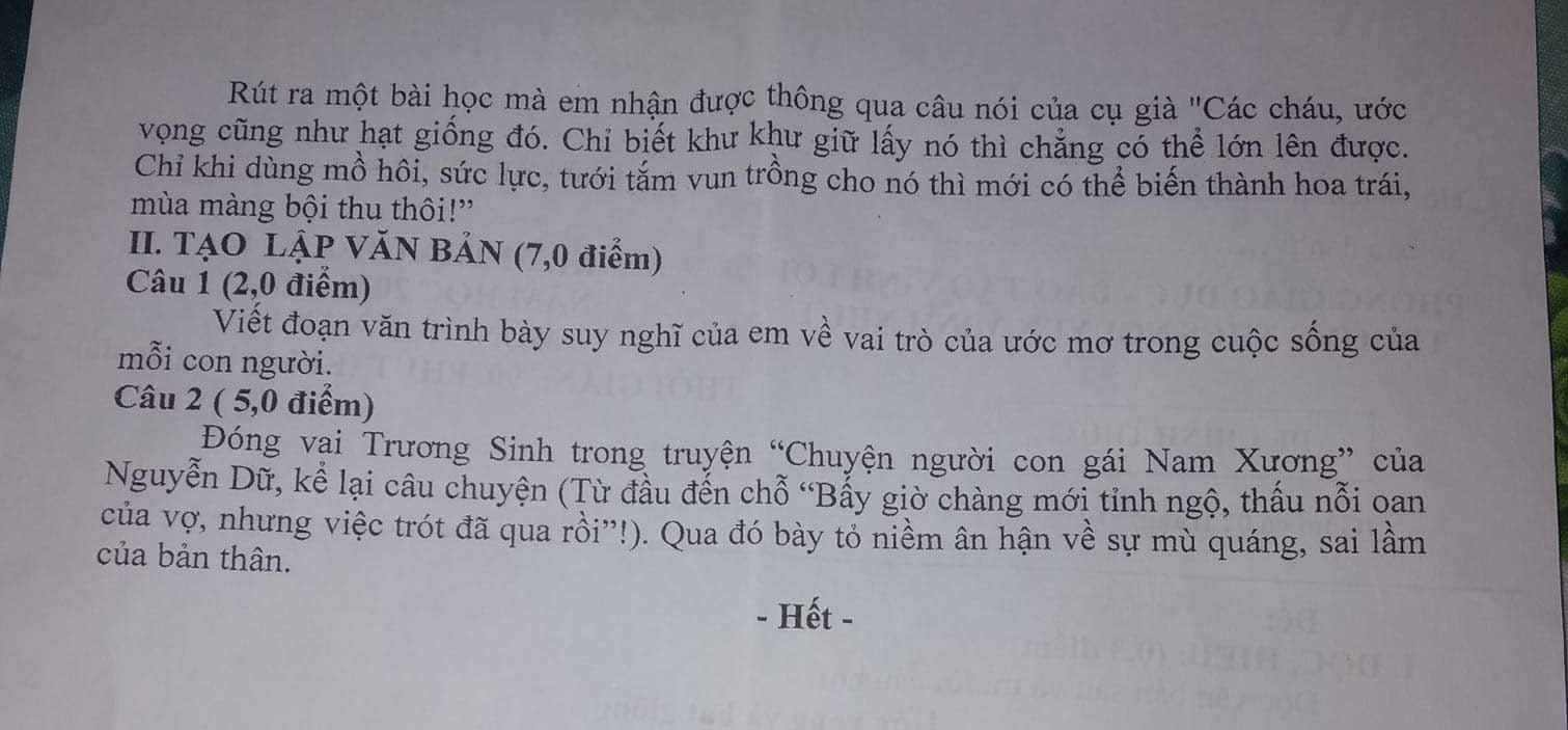 Đề thi giữa học kì 1 lớp 9 môn Ngữ văn Trường THCS Nguyễn Minh Nhựt năm 2020 - 2021