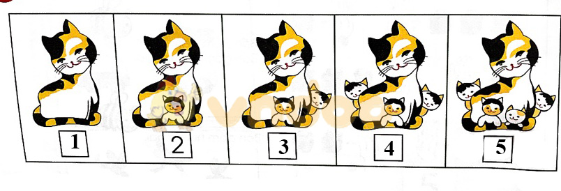 Giải Toán lớp 1 trang 28 sách Chân trời sáng tạo