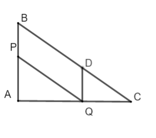Bài tập Đường thẳng song song với một đường thẳng cho trước Toán 8