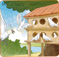 Bài 60: Ôn tập và kể chuyện