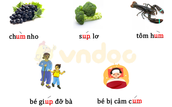 Phiếu bài tập cuối tuần Tiếng Việt lớp 1 Nâng cao - Tuần 10 - Đề 1