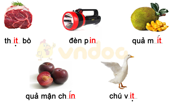Phiếu bài tập cuối tuần Tiếng Việt lớp 1 Nâng cao - Tuần 12 - Đề 1