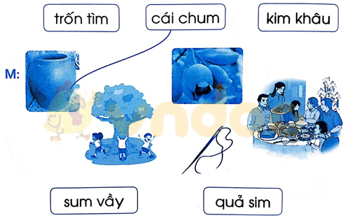 Giải Vở bài tập Tiếng Việt lớp 1 trang 43, 44, 45 Chủ đề 13: Thăm quê