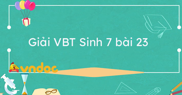 Giải Vbt Sinh 7 Bài 23 - Thực Hành: Mổ Và Quan Sát Tôm Sông - Vndoc.Com