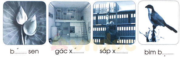 Bài 56: ep êp ip up