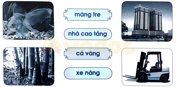 Giải Vở bài tập Tiếng Việt lớp 1 trang 53 Bài 59: ang ăng âng