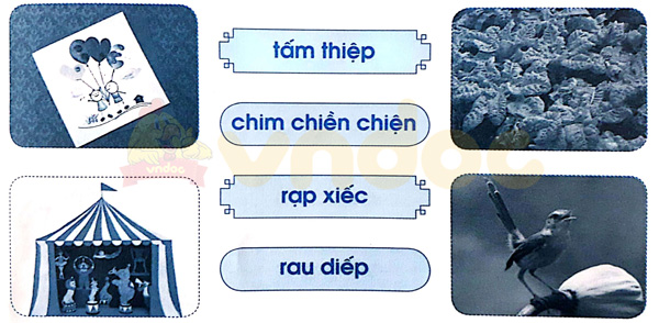 Giải Vở bài tập Tiếng Việt lớp 1 trang 55 Bài 62: iêc iên iêp