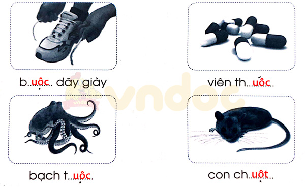 Giải Vở bài tập Tiếng Việt lớp 1 trang 59 Bài 67: uôc uôt