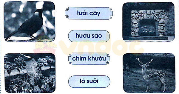 Giải Vở bài tập Tiếng Việt lớp 1 trang 61 Bài 69: ươi ươu
