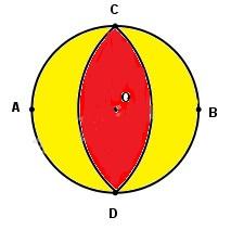 Giải vở bài tập Toán lớp 3 trang 24
