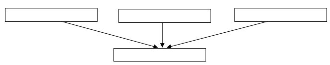 Đề thi học kì 1 Địa lí 7
