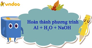 Al + NaOH + H2O → NaAlO2 + H2