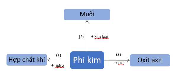 Tính chất hóa học của phi kim 