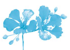 Chủ đề 19: Ngàn hoa khoe sắc