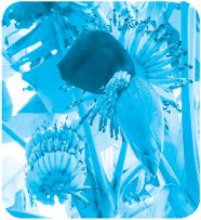 Chủ đề 19: Ngàn hoa khoe sắc