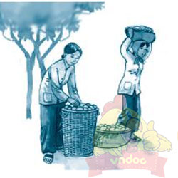 Bài 4: Giải thưởng của tình bạn