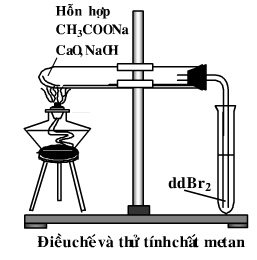 Thực hành số 3 hóa 11