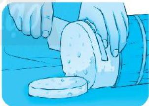 Giải VBT Tiếng Việt 1 trang 21, 22, 23, 24, 25, 26 Chủ đề 23: Tết quê em