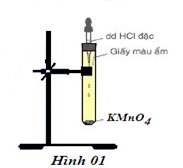 Tính tẩy màu của khí clo ẩm
