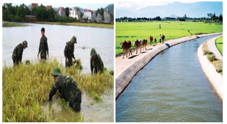 Giáo án Địa 9 bài 7: Các nhân tố ảnh hưởng đến sự phát triển và phân bố nông nghiệp theo Công văn 5512