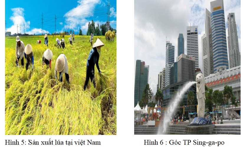 Giáo án Địa 8 bài 7: Đặc điểm phát triển kinh tế - xã hội các nước châu Á theo Công văn 5512