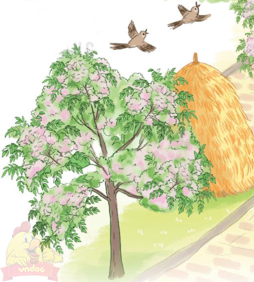 Giải bài tập Tiếng Việt 1 trang 40, 41 Bài 6: Ngôi nhà