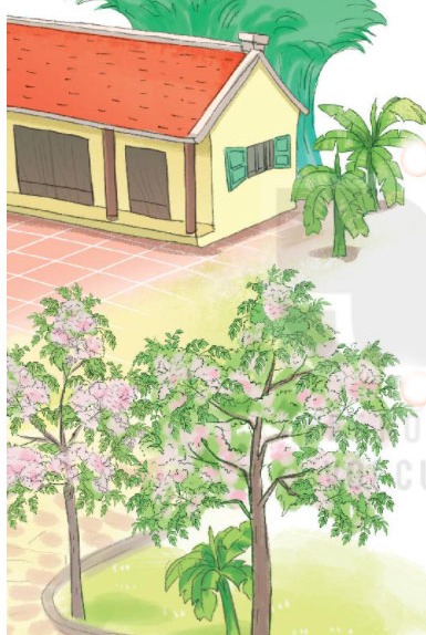 Giải bài tập Tiếng Việt 1 trang 40, 41 Bài 6: Ngôi nhà