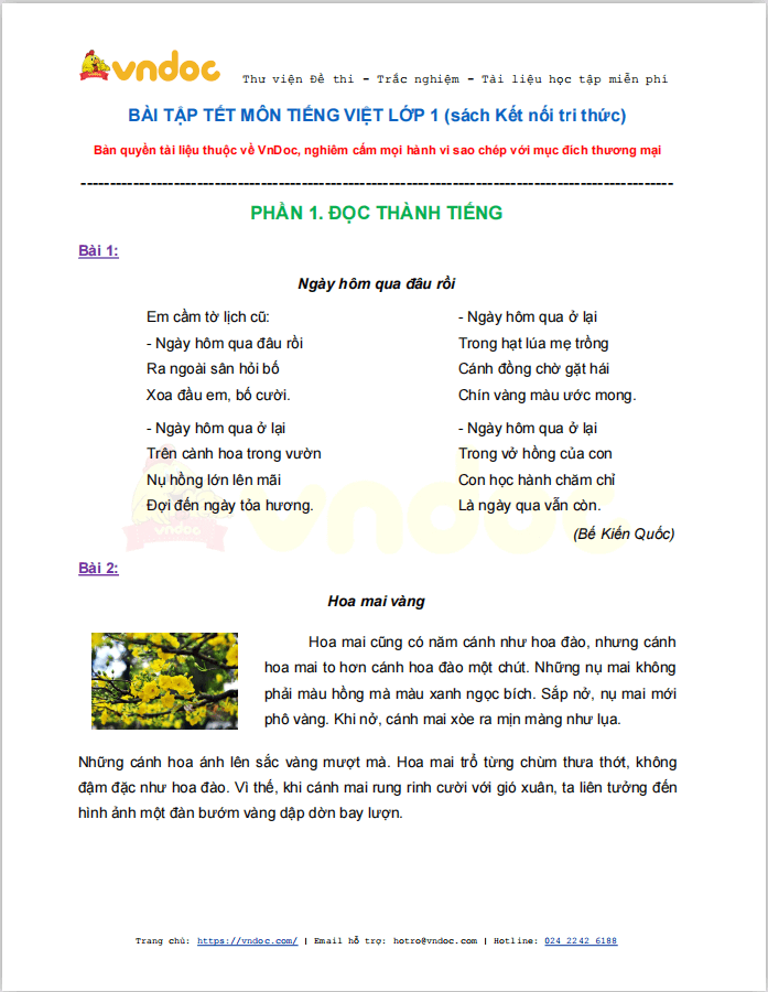 Bài tập Tết lớp 1 môn Tiếng Việt sách Kết nối tri thức