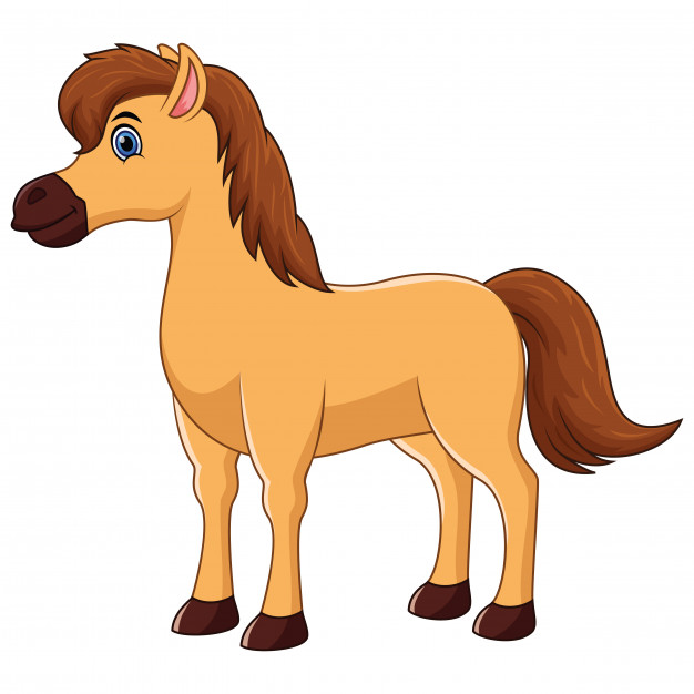 Bài tập tết lớp 1 môn Tiếng Anh sách Kết nối tri thức