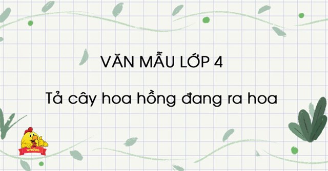 Tả Cay Hoa Hồng đang Ra Hoa đạt điểm 10 9 Dan Y Top Cac Bai Văn Mẫu Tả Cay Hoa Hồng Lớp 4 Vndoc Com