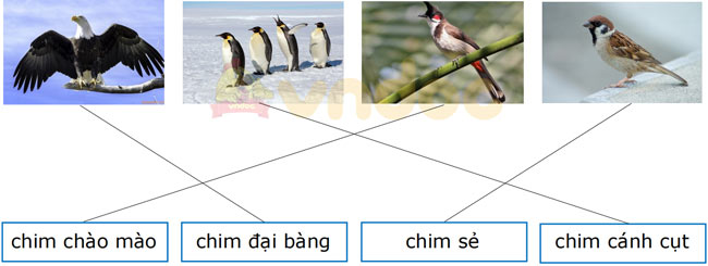 Bài tập Tết lớp 2 môn Tiếng Việt có đáp án