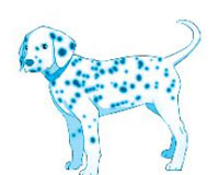 Chủ đề 24: Những người bạn đầu tiên